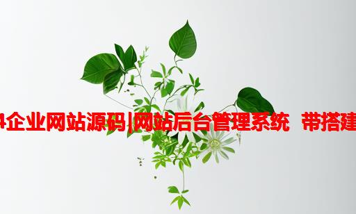 2024企业网站源码|网站后台管理系统 带搭建教程